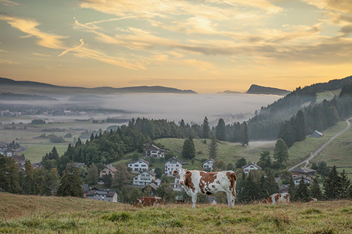 le brassus switzerland